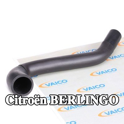 VAICO أنبوب تنفيس غطاء الكرسي الهزاز من فاصل الزيت إلى الصمام (تهوية علبة المرافق), جودة VAICO الأصلية — 2000 Citroën Berlingo