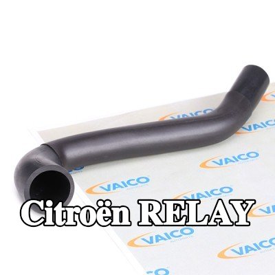 VAICO أنبوب تنفيس غطاء الكرسي الهزاز من فاصل الزيت إلى الصمام (تهوية علبة المرافق), جودة VAICO الأصلية — 2000 Citroën Relay