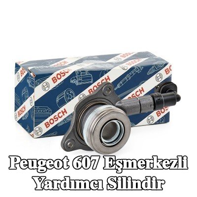 BOSCH Eşmerkezli yardımcı silindir — 2008 Peugeot 607