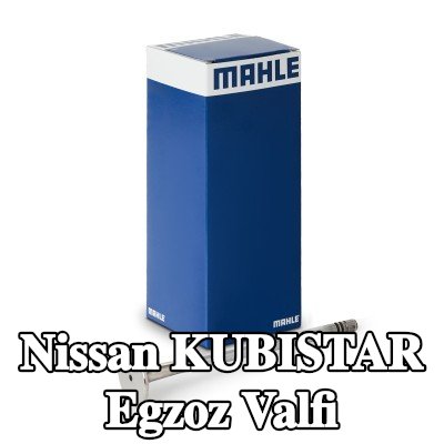 MAHLE Egzoz valfi, egzoz tarafı — Nissan Kubistar