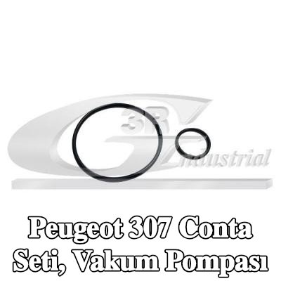 3RG Conta Seti, vakum pompası — Peugeot 307