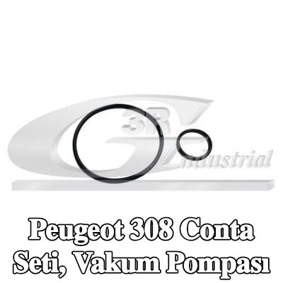 3RG Conta Seti, vakum pompası — 2012 Peugeot 308