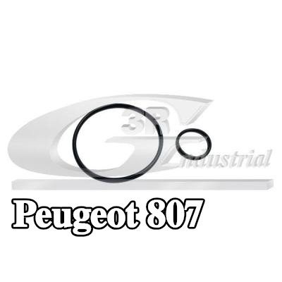 3RG مجموعة مانعات التسرب، مضخة التفريغ — Peugeot 807