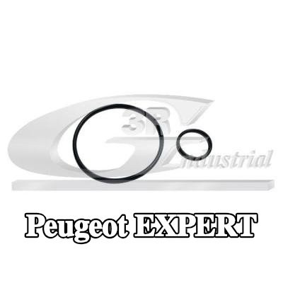 3RG مجموعة مانعات التسرب، مضخة التفريغ — Peugeot Expert