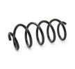 SACHS Helezon yay — 2012 Renault Duster (2)