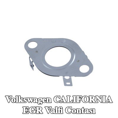 VAG EGR valfi contası — Volkswagen California