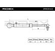RIDEX Bagaj kapağı desteği — 1990 Honda Crx (6)