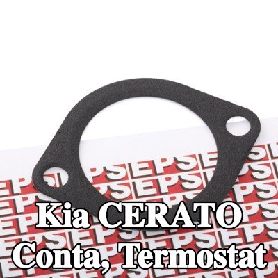 EPS Conta, termostat İtalya'da üretilmiştir - OE Eşdeğeri — 2008 Kia Cerato