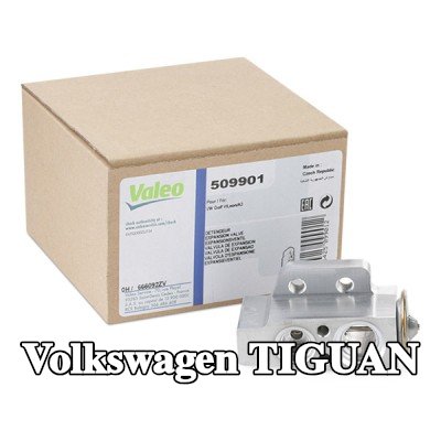 VALEO صمام تمدد تكييف الهواء — 2012 Volkswagen Tiguan