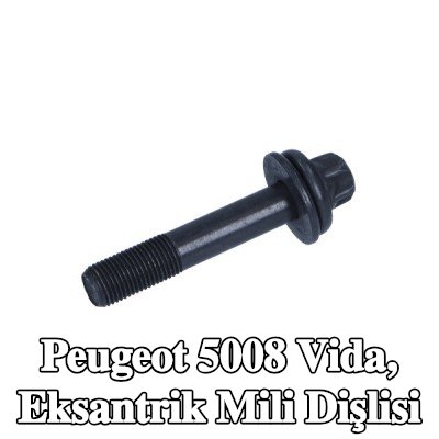 CITROEN/PEUGEOT Vida, eksantrik mili dişlisi — Peugeot 5008