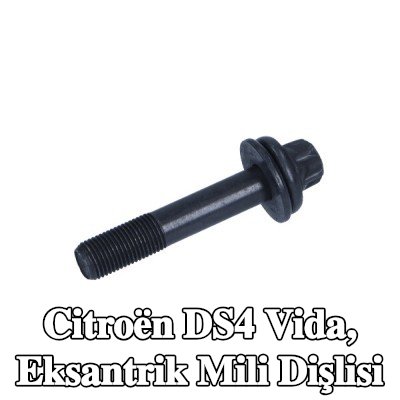 CITROEN/PEUGEOT Vida, eksantrik mili dişlisi — Citroën Ds4