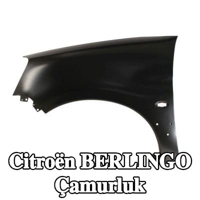 BLIC Sol ön çamurluk — 2000 Citroën Berlingo