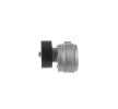 SKF Gergi kasnağı Ø: 65mm — Renault Mascott (4)