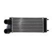 MAHLE Intercooler — Peugeot 307 (2)