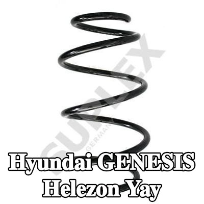 SUPLEX Ön aks helezon yayı — Hyundai Genesis
