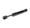 RIDEX Bagaj kapağı desteği 160mm — Renault 19 (2)
