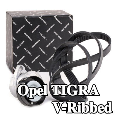 RIDEX مجموعة أحزمة V-Ribbed — 2000 Opel Tigra