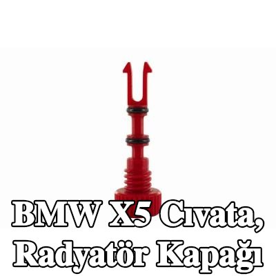 VAICO Cıvata, radyatör kapağı Orijinal VAICO Kalitesi — 2008 BMW X5