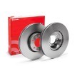 BREMBO Fren diski Prime, Outer Diameter: 304mm, içten havalandırmalı, Kaplamalı, cıvata/vida ile — Mercedes-Benz Cle (1)