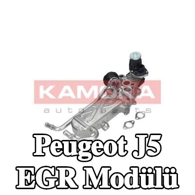 KAMOKA EGR Modülü — Peugeot J5