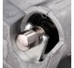 RIDEX Titreşim Sönümleyici, triger kayışı — Audi A2 (4)