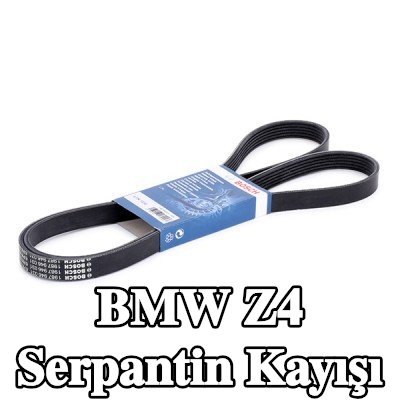 BOSCH Serpantin kayışı 1830mm, Number of ribs: 6 — 2010 BMW Z4