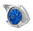 SKF Su pompası ve triger kayışı kiti Diş Sayısı: 123 — Renault Lodgy (4)