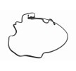 VAICO Yakıt hattı — 2012 Renault Duster (6)