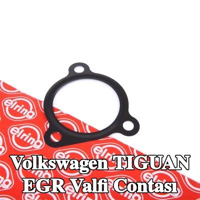 ELRING EGR soğutucusundan sonraki EGR valfi contası — Volkswagen Tiguan