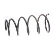 SACHS Helezon yay — 2002 Toyota Yaris (3)