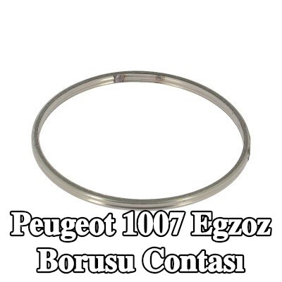 WALKER Egzoz borusu contası — Peugeot 1007