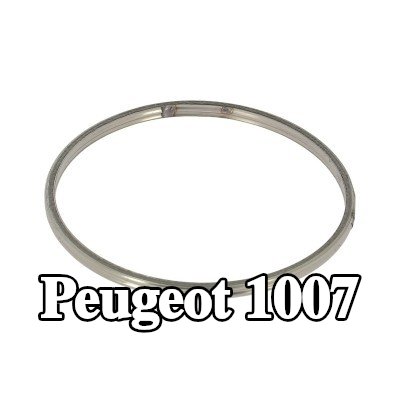 WALKER حشية أنبوب العادم — Peugeot 1007