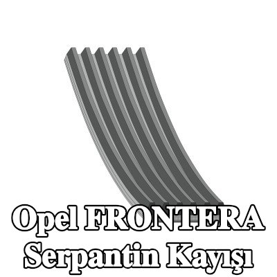 FEBI BILSTEIN Serpantin kayışı 2050mm, Number of ribs: 6 — 1992 Opel Frontera
