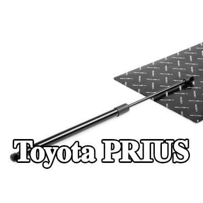 RIDEX دعامة الباب الخلفي للسيارة, 503, 5mm — 2012 Toyota Prius