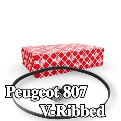 FEBI BILSTEIN مجموعة أحزمة V-Ribbed — Peugeot 807