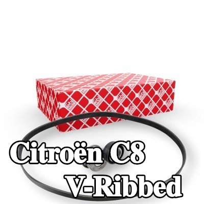 FEBI BILSTEIN مجموعة أحزمة V-Ribbed — Citroën C8