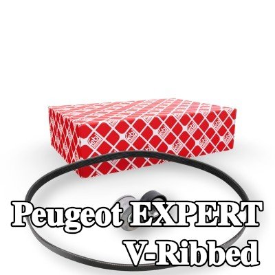 FEBI BILSTEIN مجموعة أحزمة V-Ribbed — Peugeot Expert