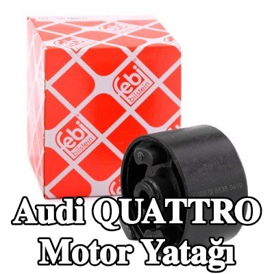 FEBI BILSTEIN Motor yatağı Sağ, Elastomer — Audi Quattro