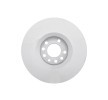 BOSCH Fren diski Dış Çap: 314mm, Havalandırmalı, Kaplamalı — Opel Signum (8)