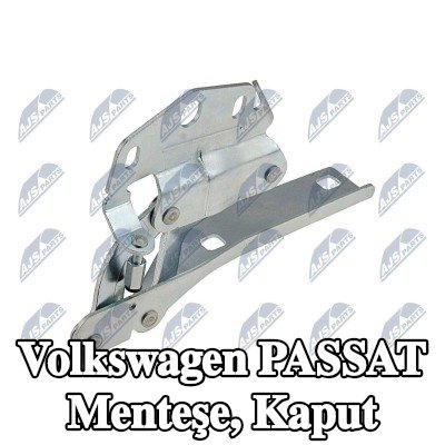NTY Menteşe, kaput — 2012 Volkswagen Passat