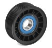 RIDEX Saptırma / kılavuz kasnağı, V-ribbed belt Ø: 72mm — 2012 Ford Ecosport (2)