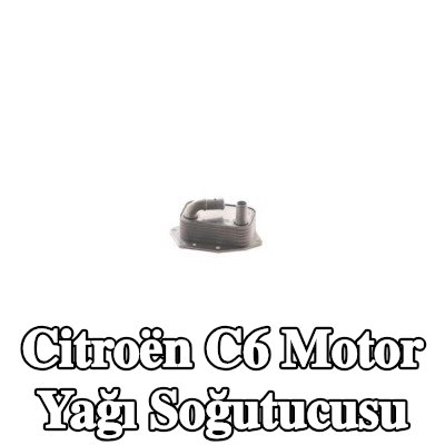 MAHLE Conta/sızdırmazlık elemanları ile motor yağı soğutucusu, yağ filtresi muhafazası olmadan — Citroën C6