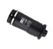 BILSTEIN Hava Yayı, süspansiyon Arka aks, - B3 OE Replacement (Air) — Mercedes-Benz ML-Class (2)