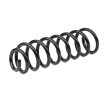 SACHS Helezon yay — 2002 Volkswagen Touareg (2)