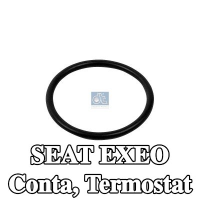DT Spare Parts Conta, termostat — SEAT Exeo