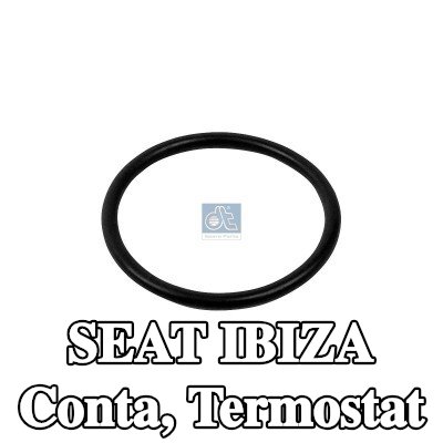 DT Spare Parts Conta, termostat — 2012 SEAT Ibiza