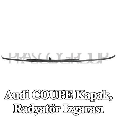 PRASCO Kapak, radyatör ızgarası — Audi Coupe