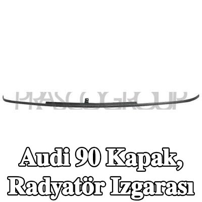 PRASCO Kapak, radyatör ızgarası — Audi 90