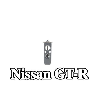 MAHLE صمام تمدد تكييف الهواء — Nissan Gt-r