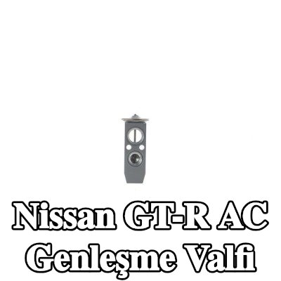 MAHLE AC genleşme valfi — Nissan Gt-r